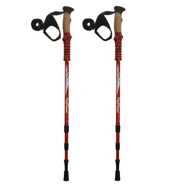 Anti Shock Nordic Walking Stick