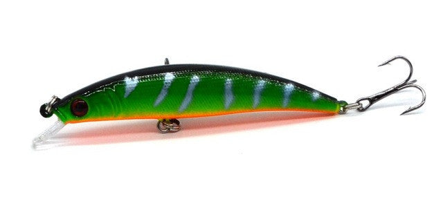 Minnow Hard Bait with 2 Fishing Hook