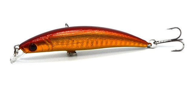 Minnow Hard Bait with 2 Fishing Hook